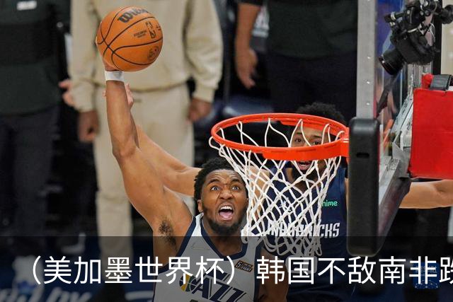 （美加墨世界杯）韩国不敌南非跌至小组第三 出线前景待定